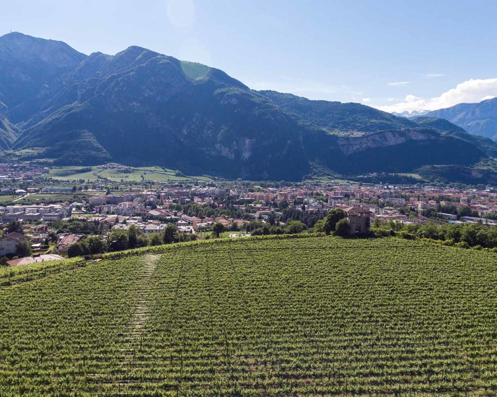 Cantina Sociale di Trento - Movimento Turismo del Vino Trentino Alto Adige