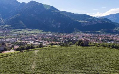 Cantina Sociale di Trento - Movimento Turismo del Vino Trentino Alto Adige