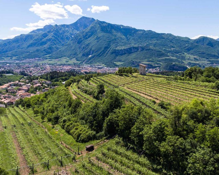 Cantina Sociale di Trento - Movimento Turismo del Vino Trentino Alto Adige