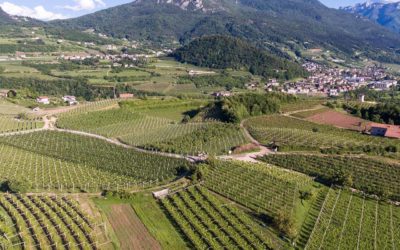 Cantina Sociale di Trento - Movimento Turismo del Vino Trentino Alto Adige